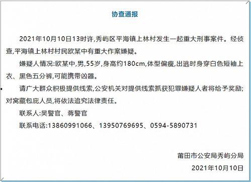 福建省最新爆料案件公布,揭秘背后惊人真相